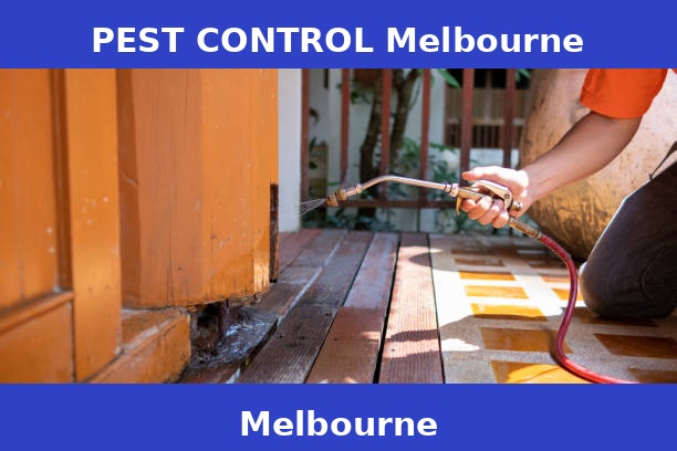 PEST CONTROL Melbourne